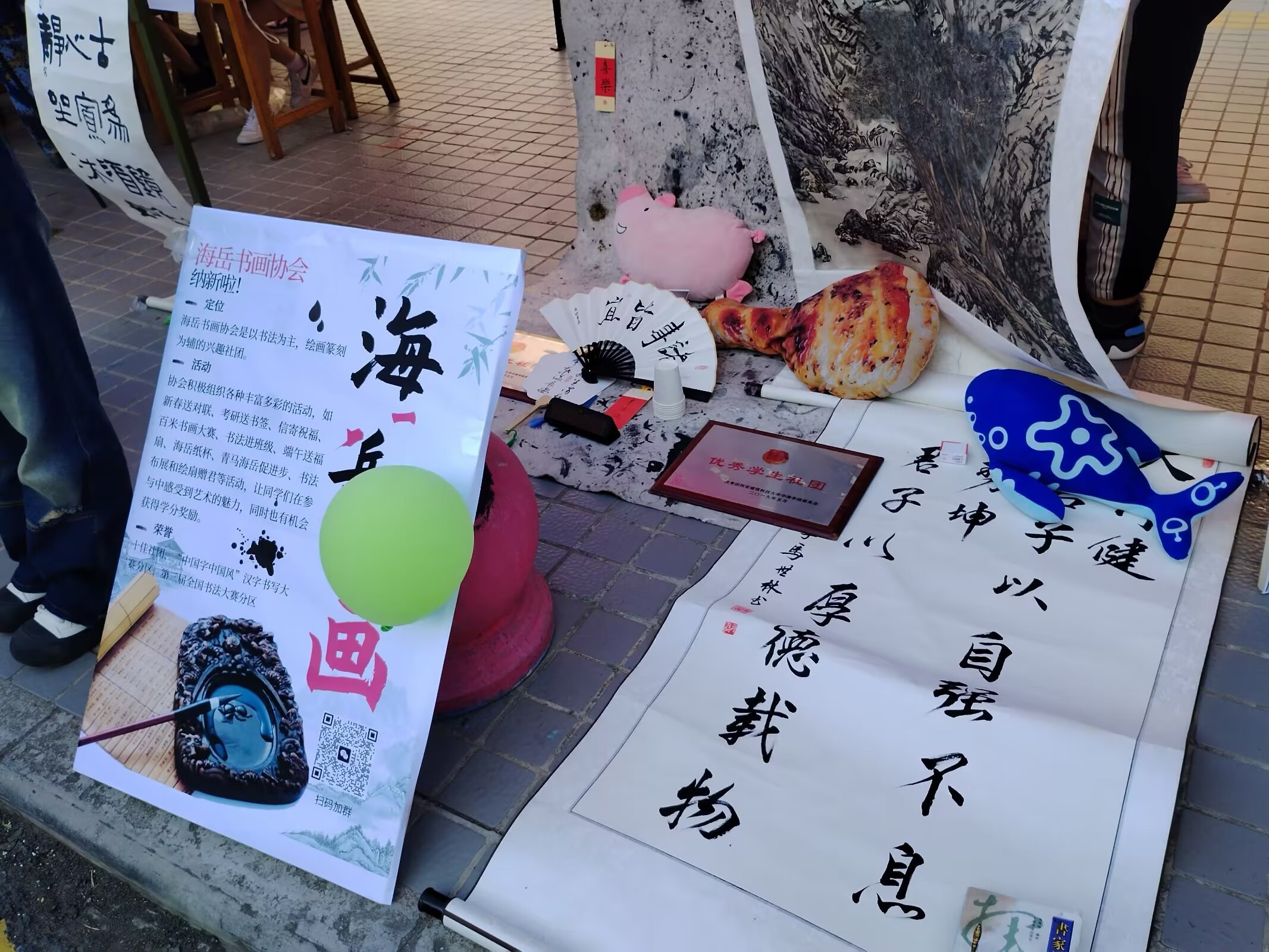 照片24