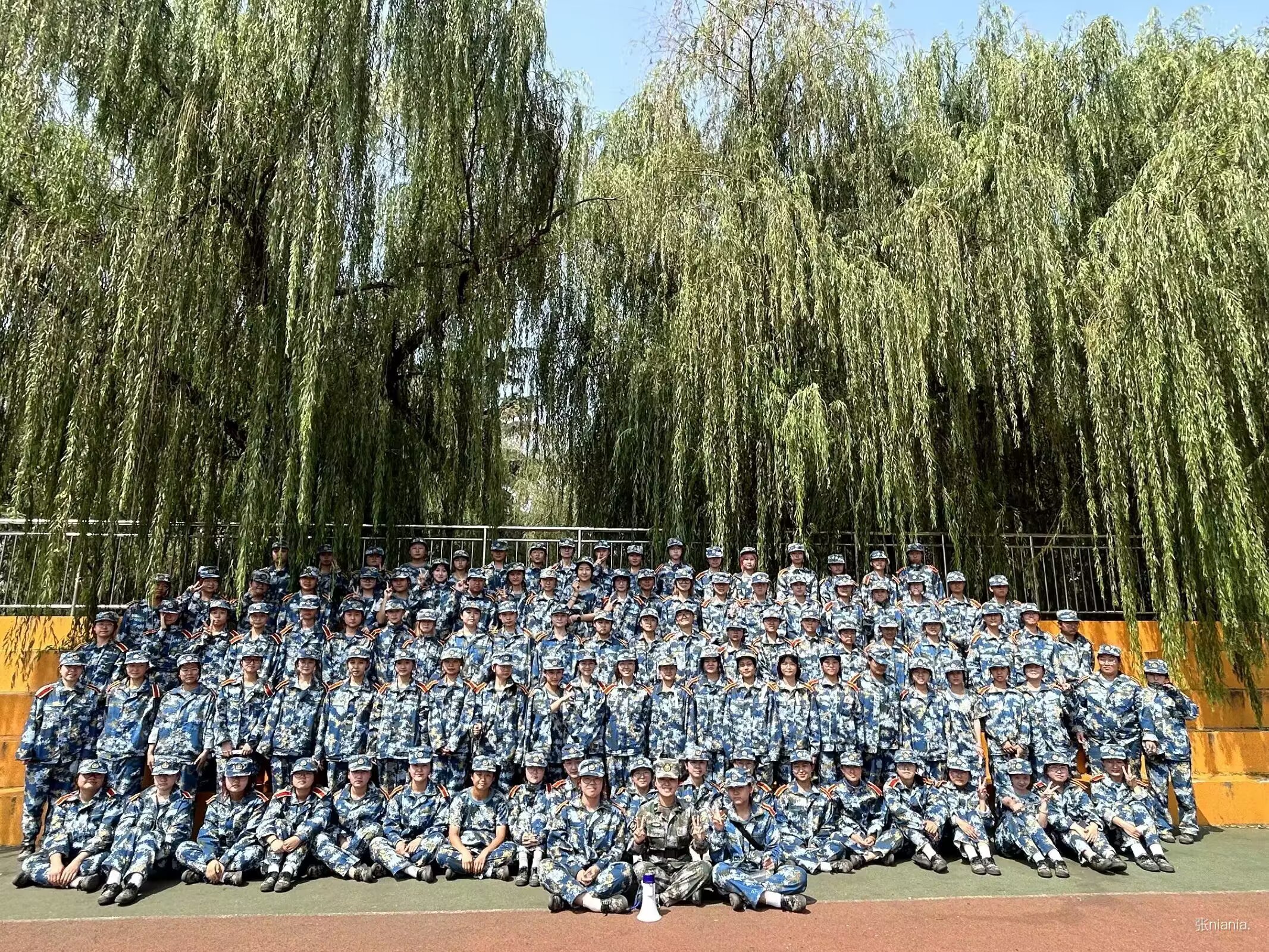 照片44